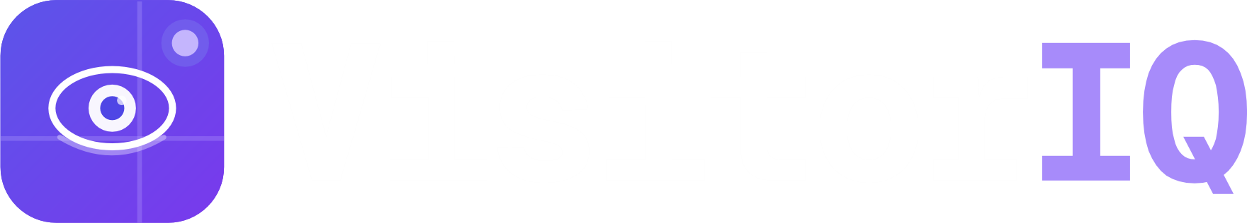 VisitorIQ